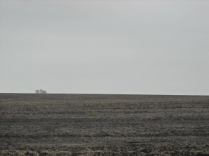 plains of Kansas